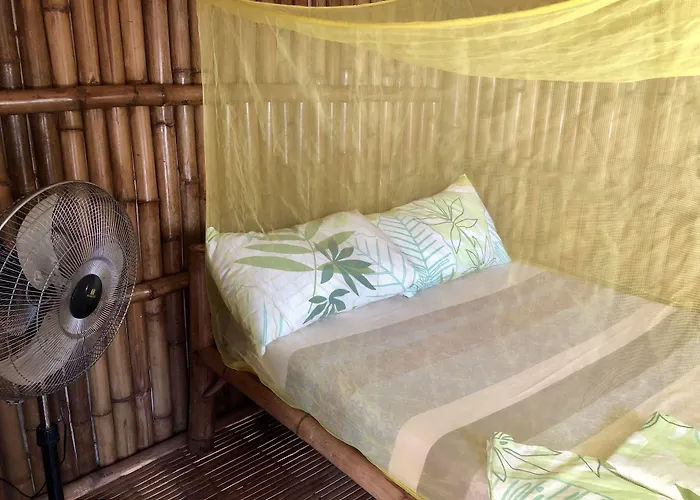 Lionfish Backpackers (adults Only)