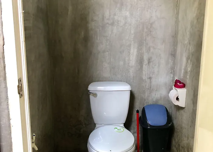 Lionfish Backpackers (adults Only) Hostel
