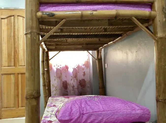 Lionfish Backpackers (adults Only) Hostel Malapascua
