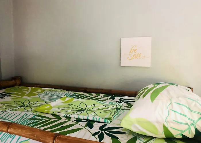 Lionfish Backpackers (adults Only) * Malapascua