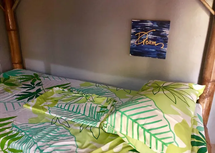 Lionfish Backpackers (adults Only) Hostel Malapascua