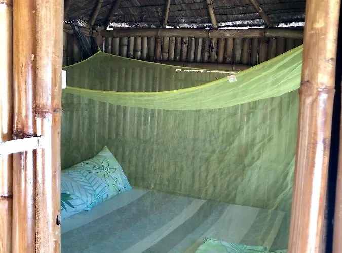 Lionfish Backpackers (adults Only) Hostel *